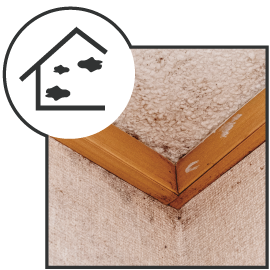 壁や天井にカビが生える・部屋がカビくさい